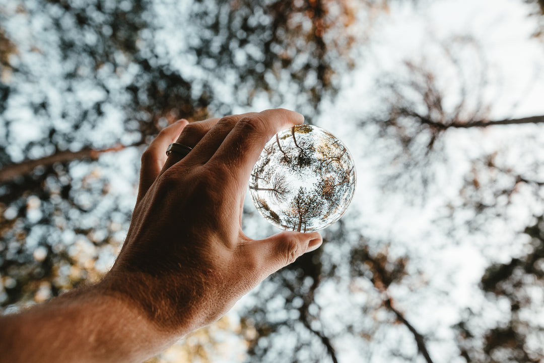 Crystal lensball reflecting inverted image of lush green trees in natural outdoor setting